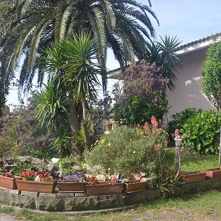 B&B Fra E Fe Арбория Экстерьер фото